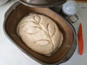 Brot Dinkel-Joghurt-Kruste vor dem Backen im Ofenmeister
